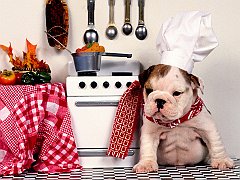 Master Chef
